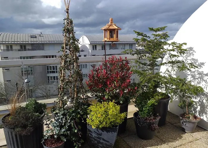 Sur Les Toits D\'Orleans